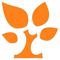 金數(shù)據(jù)