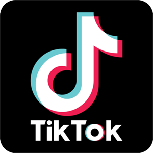 tiktok視頻下載