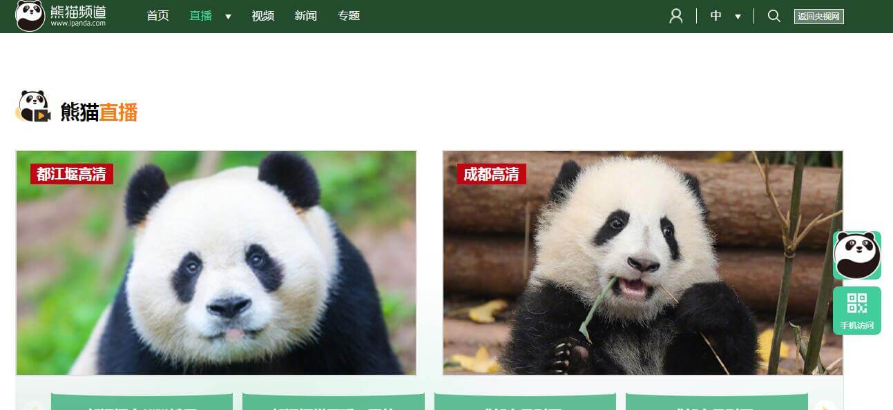 iPanda熊貓頻道插圖 iPanda熊貓頻道插圖