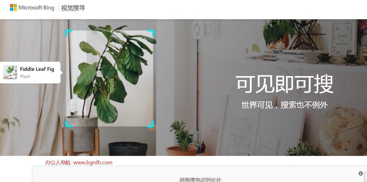 bing搜圖插圖 bing搜圖插圖