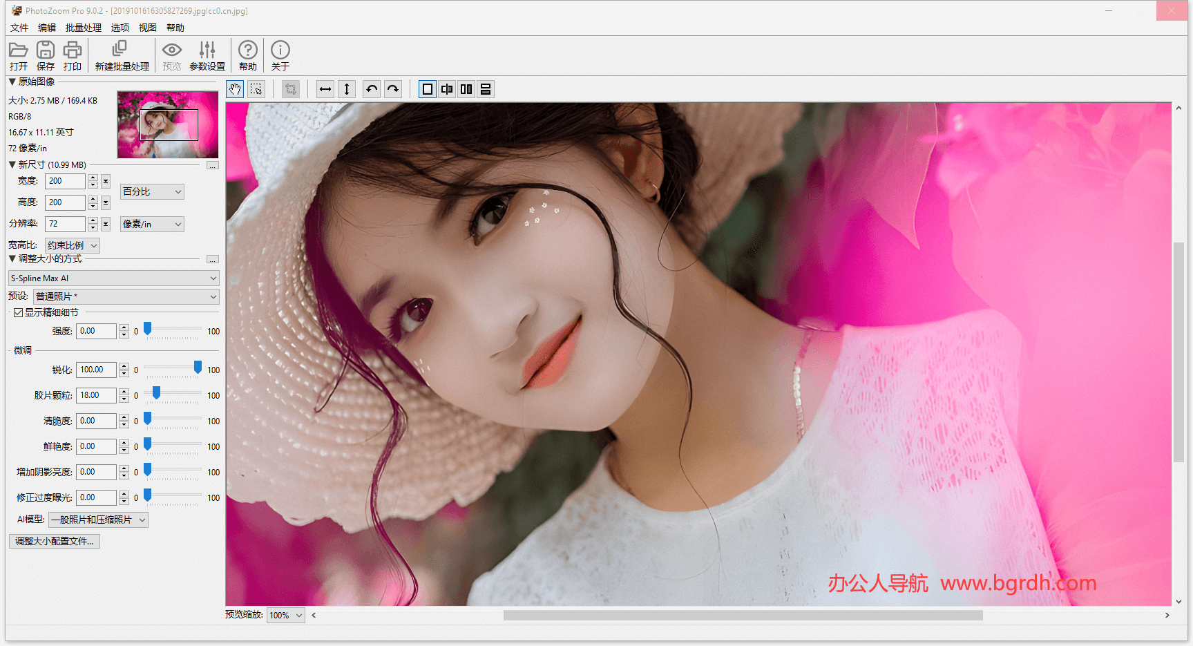 BenVista PhotoZoom插圖3 BenVista PhotoZoom插圖3