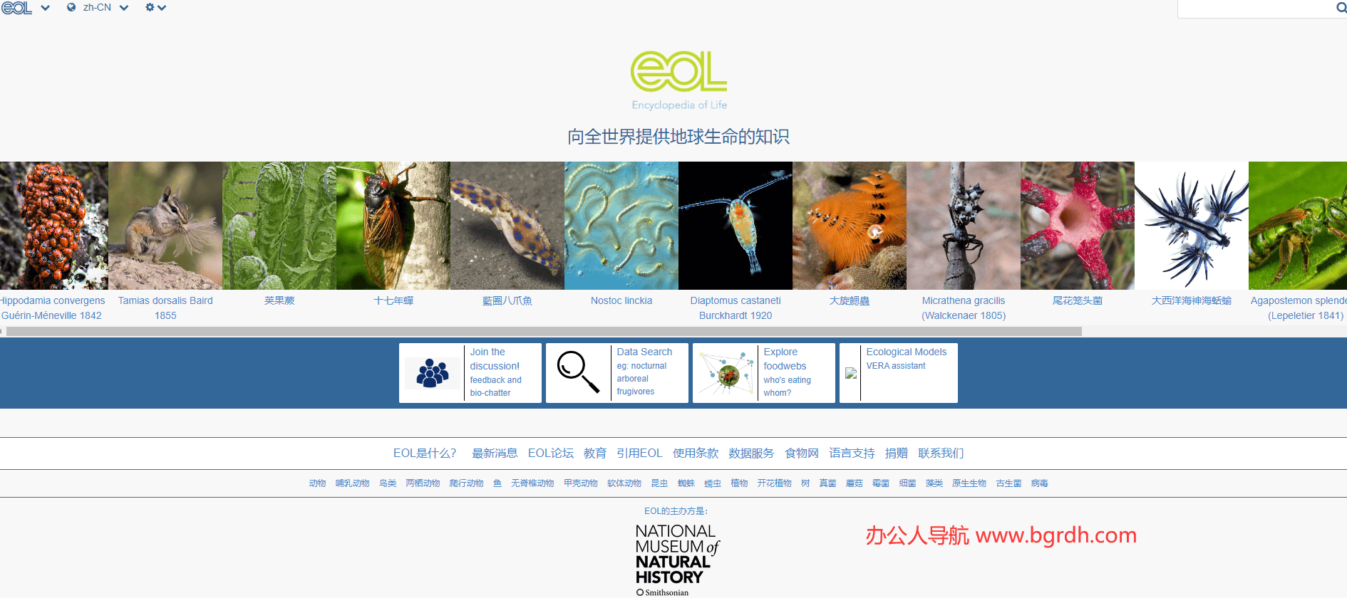 生命大百科插圖 生命大百科插圖