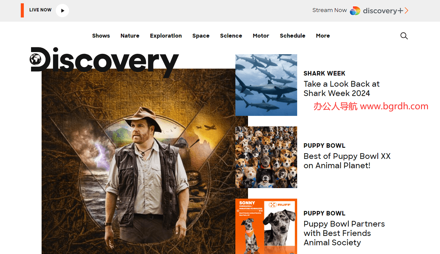 Discovery插圖 Discovery插圖