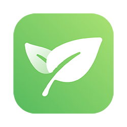 小紅書爆款模板