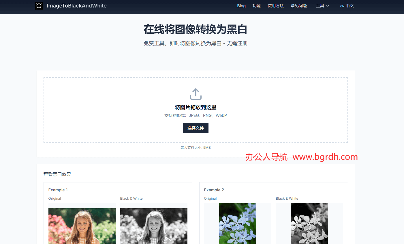 黑白圖像轉換插圖 黑白圖像轉換插圖