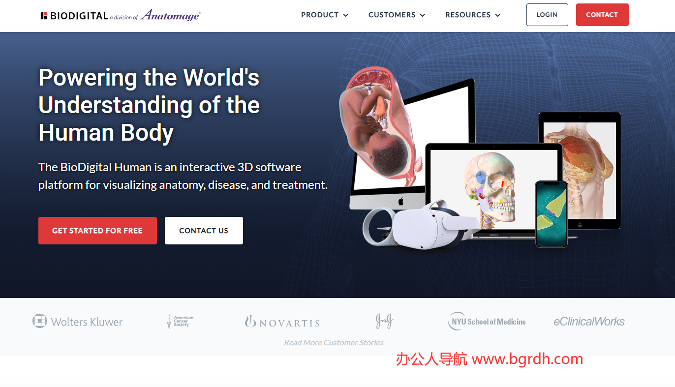 BioDigital插圖 BioDigital插圖